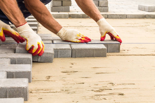 Best Local Driveway Pavers  in Trinity, AL