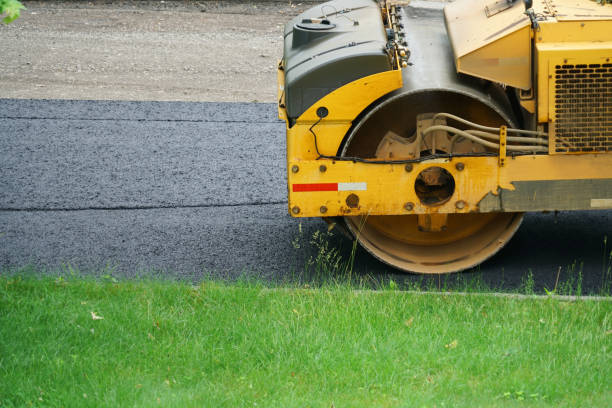 Best Driveway Paving Near Me  in Trinity, AL