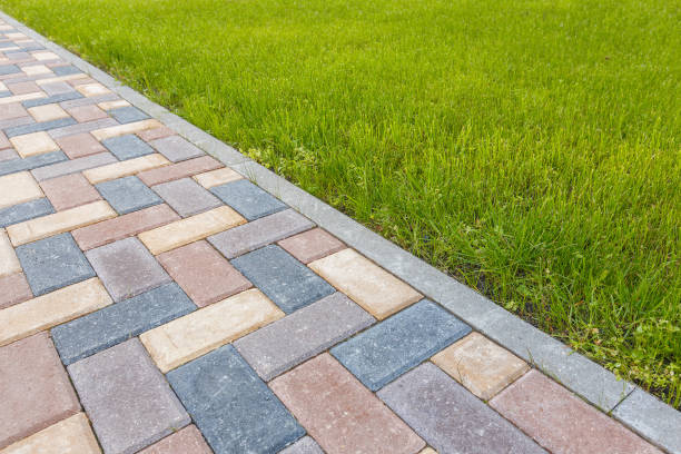Best Decorative Driveway Pavers  in Trinity, AL